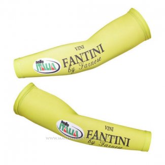 2013 Vini Fantini Manchettes Cyclisme